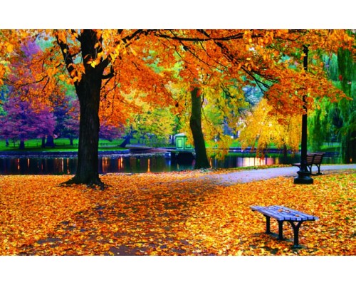 Desk Calendar DC39